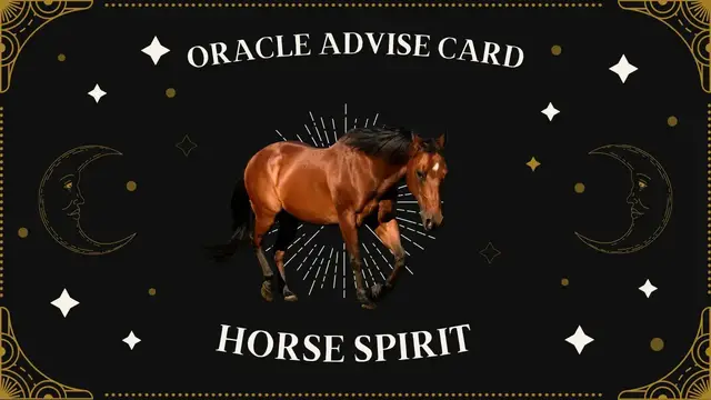 Video thumbnail for Pick A Card | Oracle Advise Card - Horse spirit
