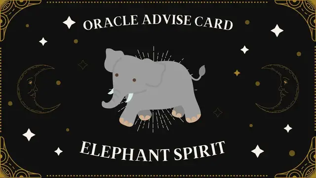 Video thumbnail for Pick A Card | Oracle Advise Card - Elephant spirit