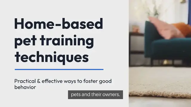 Video thumbnail for Home-Based Pet Training Techniques