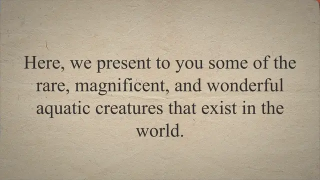 Video thumbnail for Top 15 Rare Aquatic Creatures In The World