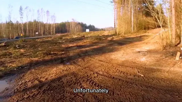 Video thumbnail for Top 10 Endangered Animals and How to Save Them