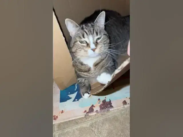 Video thumbnail for How do I send this?