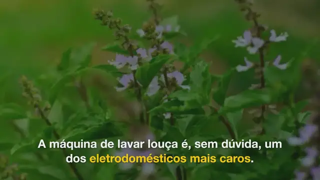 Video thumbnail for O brilhante truque do limão para limpar completamente a máquina de lavar louça