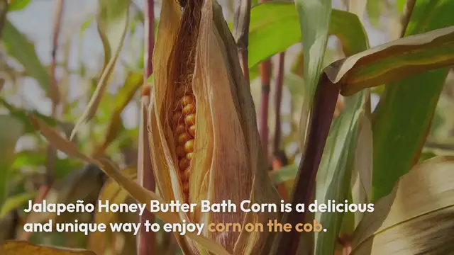 Video thumbnail for Jalapeño Honey Butter Bath Corn