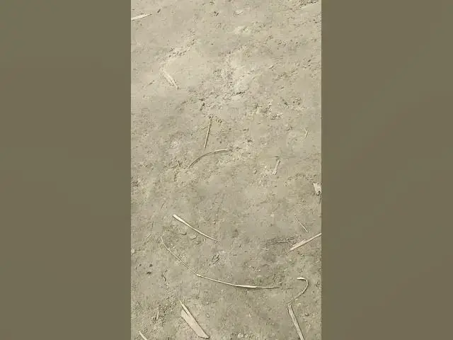 Video thumbnail for #dj #music #love #newsong #bhojpuri #deepakdiwana #song #bhojpurimusic #freefire #bhojpurisong