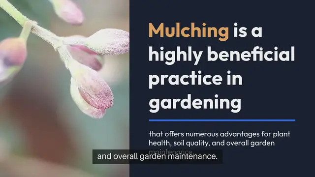 Video thumbnail for Benefits of Mulching Your Garden