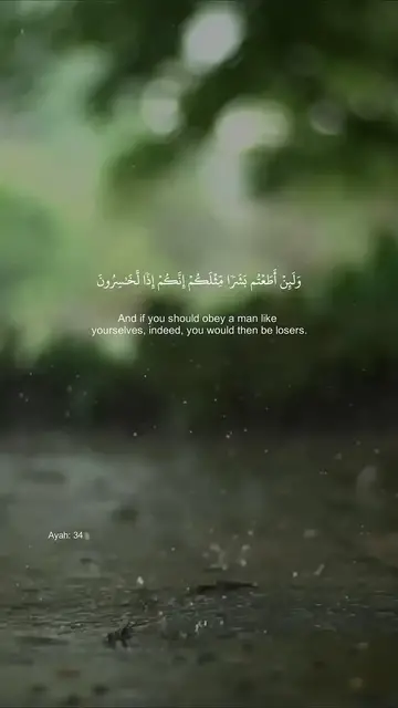 'Video thumbnail for Surah-Al-Mu-minūn-Ayah-34-41-by-Sheikh-Y_7'