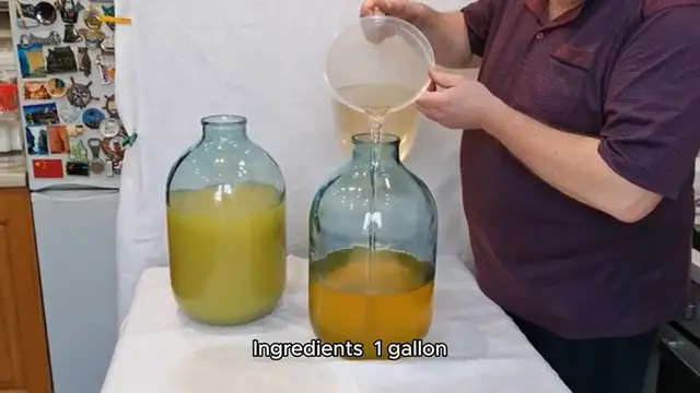 Video thumbnail for grinch punch recipe