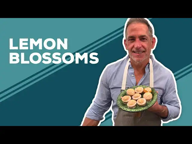 Video thumbnail for Love & Best Dishes: Lemon Blossoms Recipe | Lemon Mini Muffins From Cake Mix
