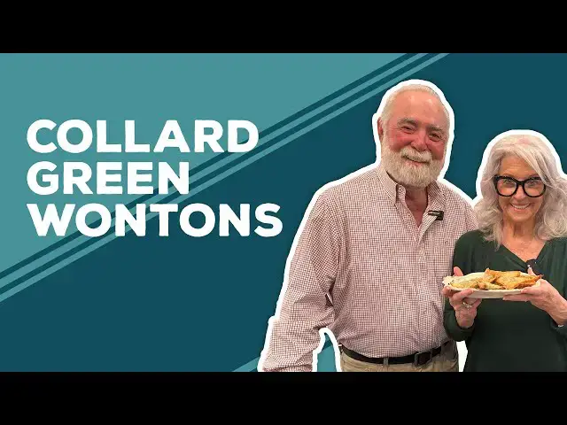 Video thumbnail for Love & Best Dishes: Collard Green Wontons Recipe | Homemade Wonton Appetizer Ideas