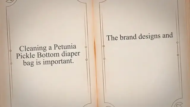 Video thumbnail for How To Clean A Petunia Pickle Bottom Diaper Bag (6 Easy Steps)