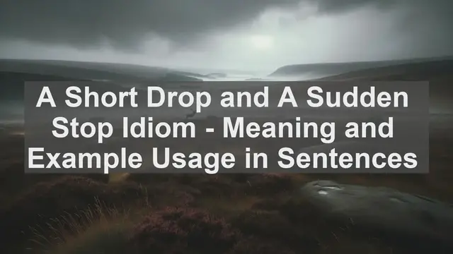 Video thumbnail for "A Short Drop and A Sudden Stop" Idiom: Meaning and Usage in Sentences