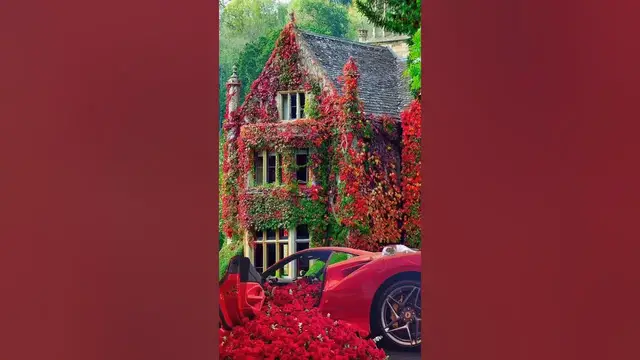 'Video thumbnail for #nature butterfly #status #whatsappstatus #reels #omxmedia'