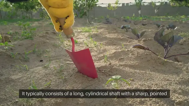 'Video thumbnail for Garden Bulb Planter Tool: Gardening'