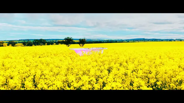 Video thumbnail for An Artist's Curse_trailer_pro res HQ444.mov