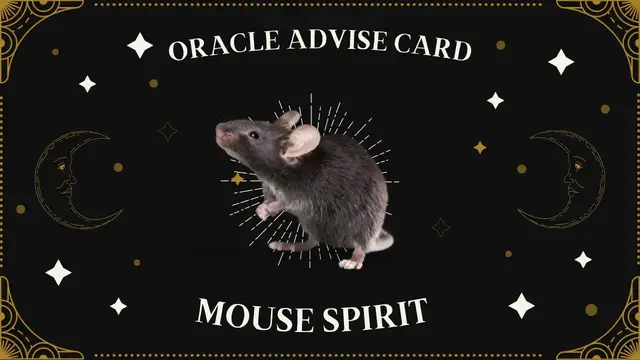 Video thumbnail for Pick A Card | Oracle Advise Card - Mouse spirit