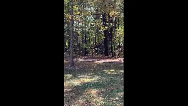 'Video thumbnail for trim.8E90038B-E70B-4AA3-B0C9-688D9CB16B79'