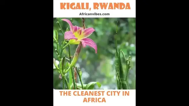 Video thumbnail for Kigali, Rwanda The Cleanest City In Africa | African Vibes #shorts