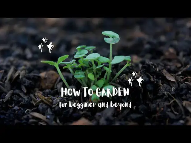 'Video thumbnail for Starting Your Vegetable Garden Right'