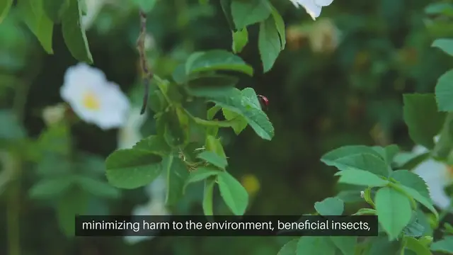 Video thumbnail for How to Deal with Garden Pests Organically