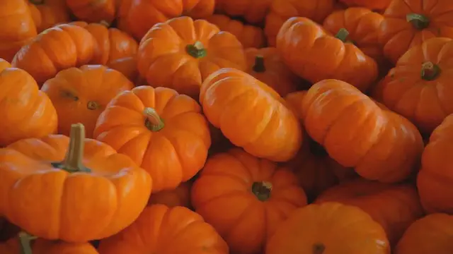 Video thumbnail for Easy Pumpkin Soup Recipe