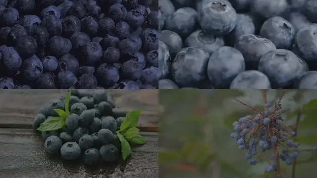 Video thumbnail for Top 10 Superfoods for Boosting Your Immune System