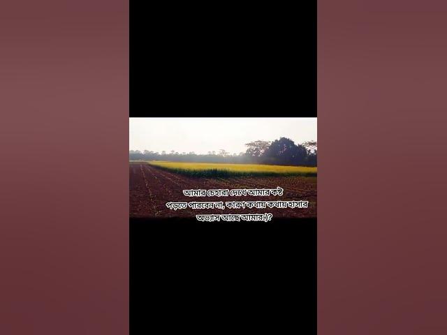 Video thumbnail for অপরূপ সৌন্দর্য্যের আমাদের গ্রাম দরর্শন করে মন আনন্দে ভরে উঠুক।Wonderful village:#shortvideo #শান্তি