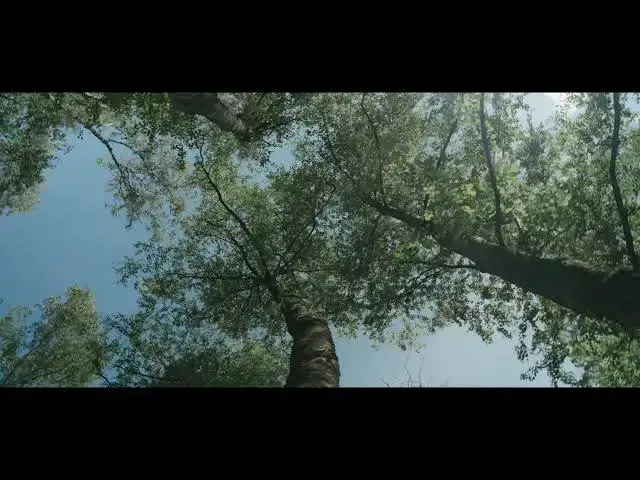 Video thumbnail for INFATUATION CONSPIRE !