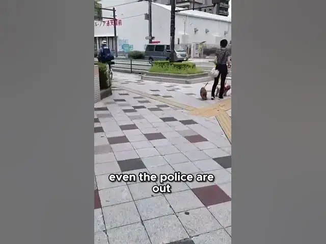 Video thumbnail for A Peaceful Day at Osaka Tower: Discovering Serenity in the City