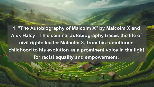 Video thumbnail for Top 10 American Civil Rights Literature