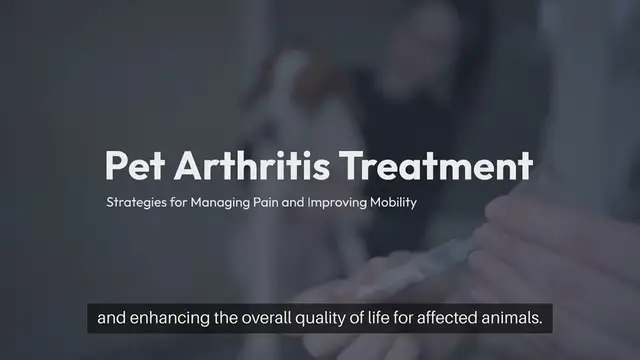 Video thumbnail for Pet Arthritis Treatment