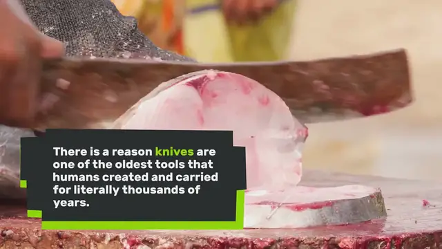 Video thumbnail for Browse White Mountain Knives Selection of Good Pocket Knife Brands: