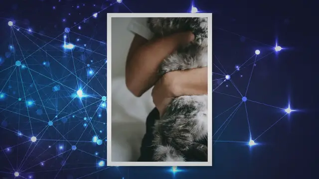 Video thumbnail for Can Cats Eat You After You Die? Exploring the Myth and Reality