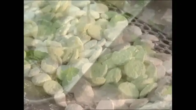 Video thumbnail for 
				 Wedding Shower