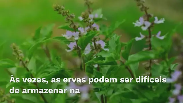 Video thumbnail for O truque brilhante para manter as ervas aromáticas 5 vezes mais tempo no frigorífico