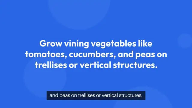 'Video thumbnail for Small Space Vegetable Gardening'