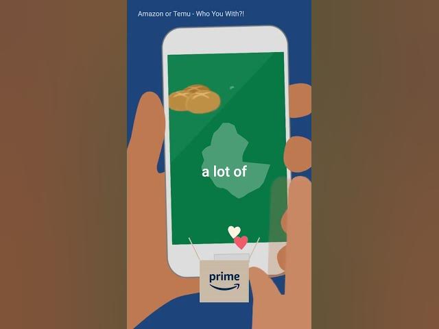 Video thumbnail for Amazon or Temu - Who You With ?!