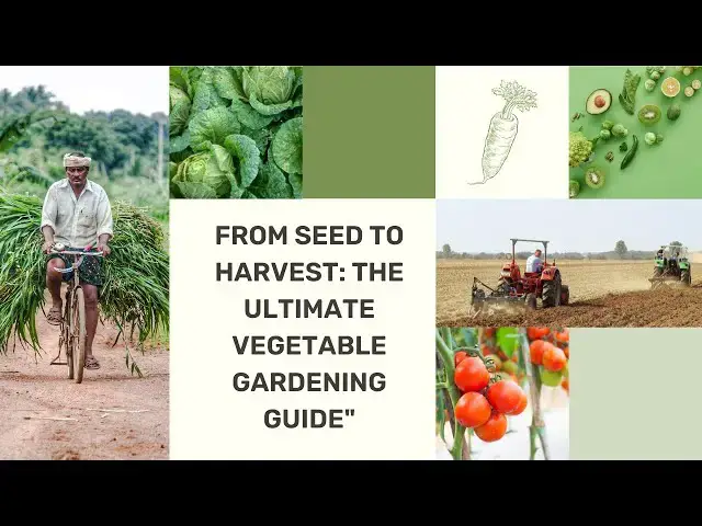 Video thumbnail for From Seed to Harvest The Ultimate Vegetable Gardening Guide