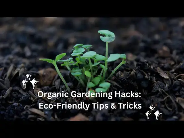 Video thumbnail for Organic Gardening Hacks Eco Friendly Tips & Tricks