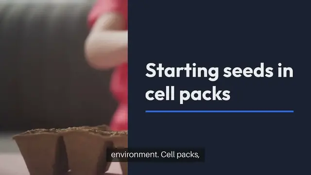 Video thumbnail for Starting Seeds in Cell Packs