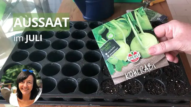 Video thumbnail for Aussaat im Juli - diese Gemüse könnt ihr vorziehen, direkt aussäen und pflanzen