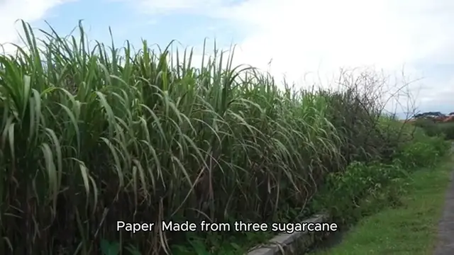 Video thumbnail for book recipe minecraft