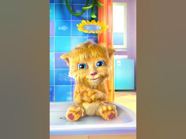 Video thumbnail for Talking Gingerhola