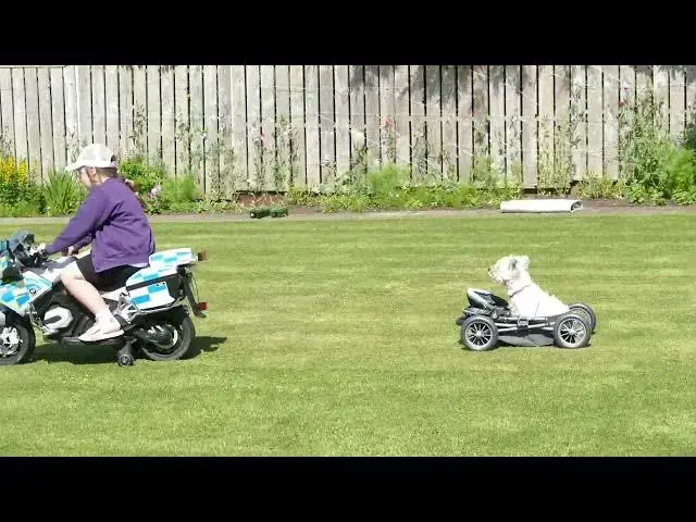 Video thumbnail for TAXI by kt