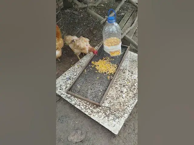 Video thumbnail for 7 de outubro de 2025