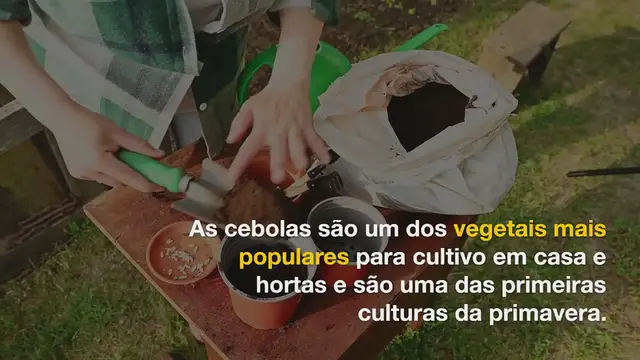 Video thumbnail for Cultivando cebolas – dicas sobre como cultivar cebolas