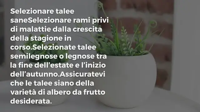 Video thumbnail for Come propagare gli alberi da frutto da talea (steli)