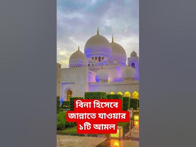 Video thumbnail for বিনা হিসেবে জান্নাতে যাওয়ার ১টি আমল#shorts #viral#sheikh_ahmadullah#islamicalortips