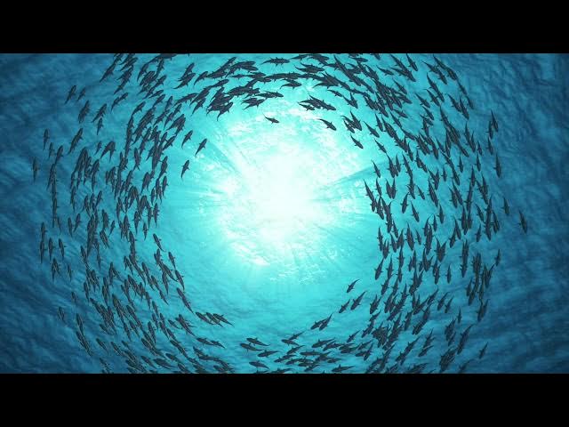 Video thumbnail for Fields of Vibratory Energy - Vignettes with Mystic, Marilynn Hughes, Out of Body Travel