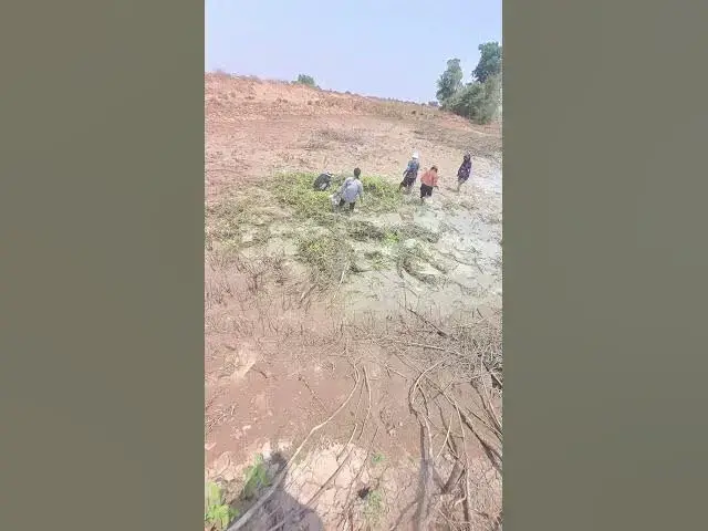 Video thumbnail for women catch fish ep 003  #fish #fishing #fishingvideo #catchfish